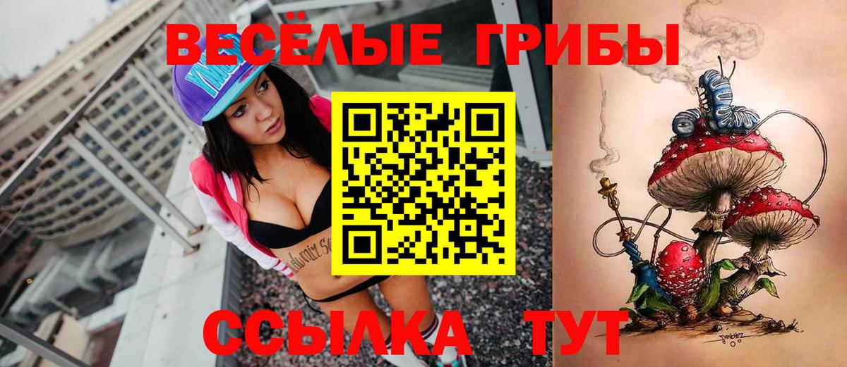 Пугачёв  Псилоцибиновые грибы GOLDEN TEACHER  купить наркоту  Вход с VPN 
