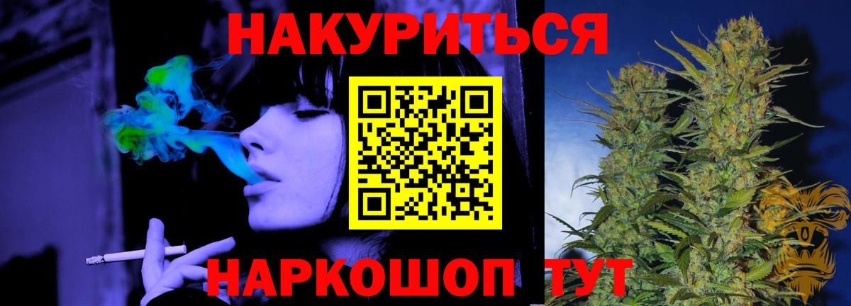 Бошки марихуана сатива  Бошки Шишки сатива  Вход с VPN  Конопля планчик  Пугачёв 